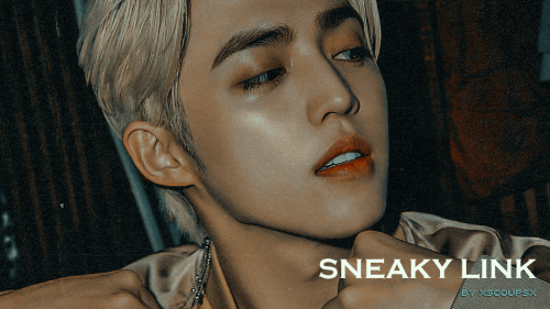 Sneaky Link || Choi Seungcheol (18+)