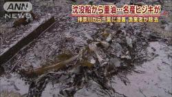 awarenessxx:  韓国（かんこく）船籍のタンカー事故がもたらした東京湾の、漁業被害の続報について、