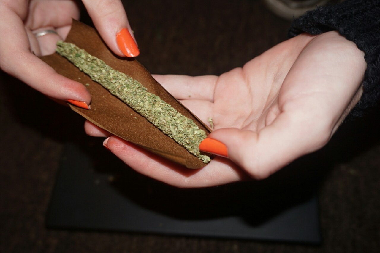 mice-teeth:  3 gram halloween blunt