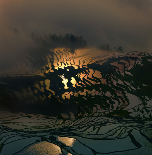 nevver:Levels, Thierry Bornier