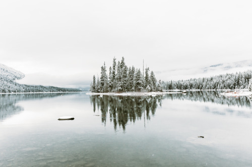 rishaddaroo:  Lake Wenatchee, Washington.