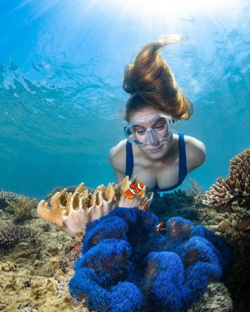 Stunning Reposted from @dive_down_under Hello Nemo, tell me about your day!   by @underwater_images 