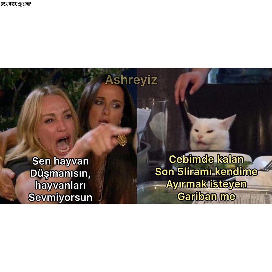 Merhabaaaa hayvanları...