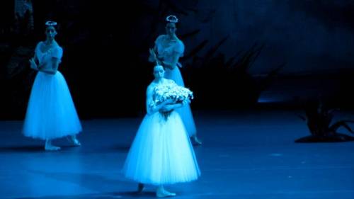 Ekaterina Krysanova in Bolshoi’s GisellePhoto by ?