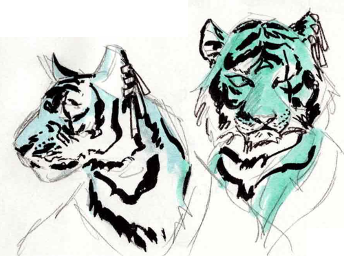Tiger Zoro !
