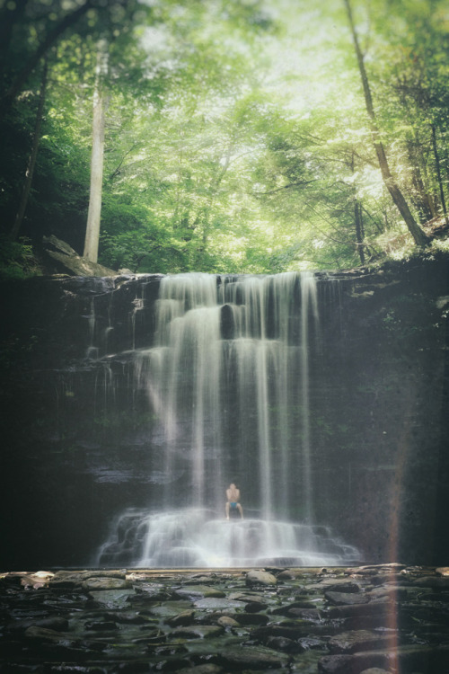 dontcatchafallingknife:  Nature Therapy   ✨