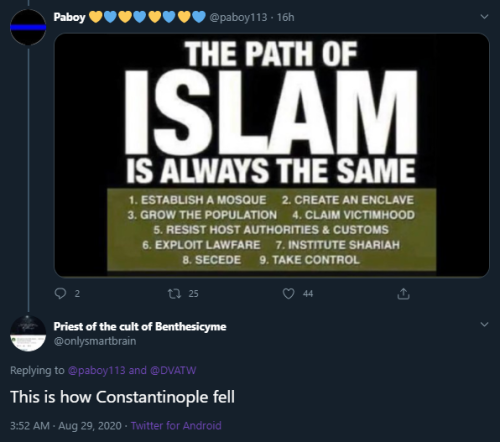 thosearentcrimes: cop-disliker69: lesbiskammerat: Actually I think for Constantinople they just used