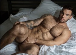 hotforhairymen:  Meet and fuck hot local guys: http://bit.ly/1OUI58P