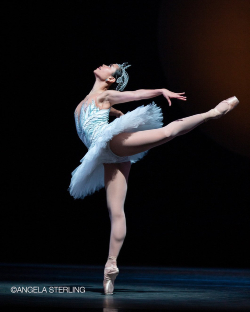 angelica generosa photographed performing as odile/odette in swan lake by angela sterling
