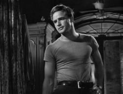 cinemaphiles:  A Streetcar Named Desire (1951)