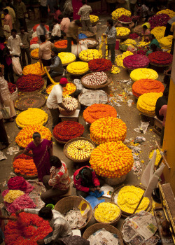 schisms: Flower market, Bangalore, Karnataka,