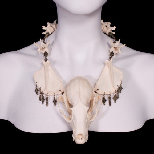 Three new pieces have been added to the site! So if you&rsquo;re feelin&rsquo; racy, hop ove