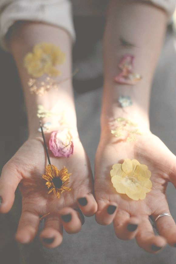 wallsihidebehind: follow for more