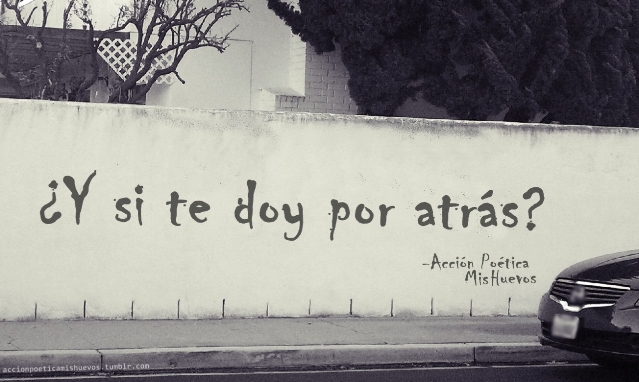 Accion Poetica Mis Huevos