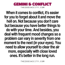 zodiaccity:  Zodiac Files: Gemini & Conflict.