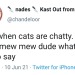 dankmemeuniversity: