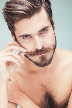 thebeardspot:  - Wise Gay Men 4618 -