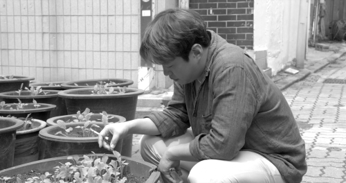 Hong Sang-soo - Grass2018