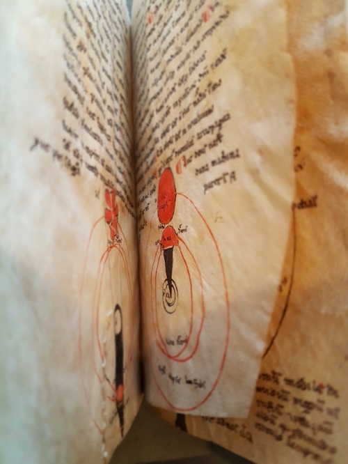 LJS 26 -  Algorismus ; Tractatum de sphaeraThis is a treatise on the fundamentals of arithmetic (Alg