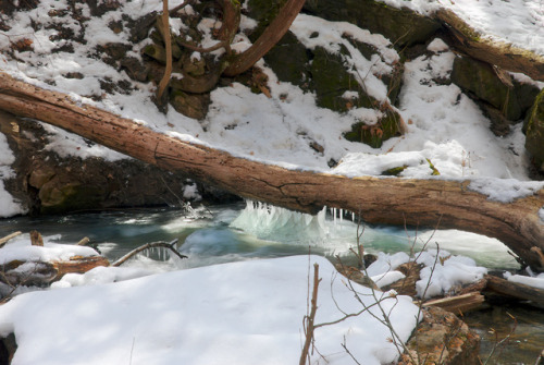Icy log across Decew Creek below Decew Falls, St Catherine’s Ontario.