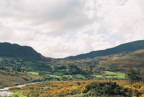 jacindaelena:  Ireland by beefolksociety 