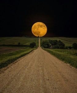 wasbella102:   Super Moon rising in South Dakota - PandaWhale 