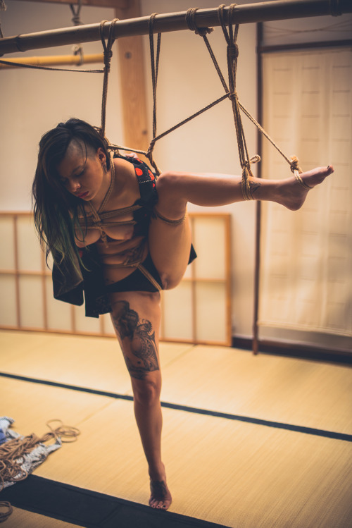 Sex kinbaku-bondage:  strictly-dirtyvonp:  With pictures