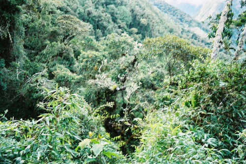 aphelia: Green lushness of the valleys by Simon Cast on Flickr.