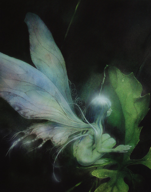 sapphic-strawberry:Brian Froud