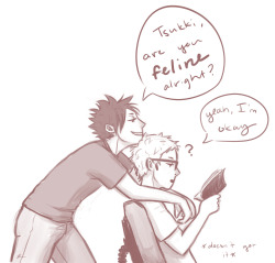 vivemarco:  this is so dumb but have some kurotsuki + cat puns