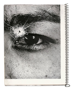 Max Reynders