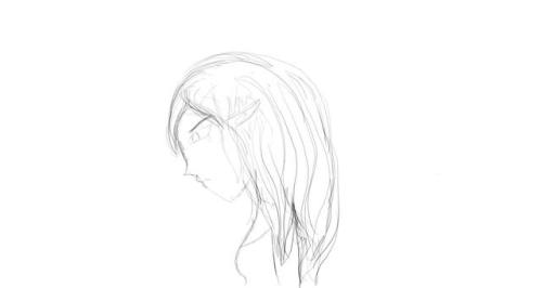 Side Profile-rough Draft. 