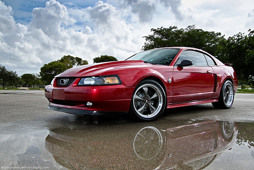 JUST THE COOLEST MUSTANGS