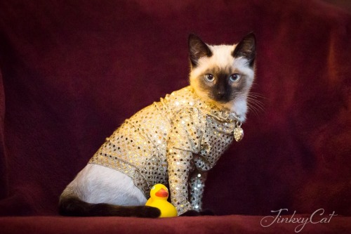 Lil&rsquo; Jinkx models her &ldquo;Sharon Needles Dress&rdquo; inspired dress