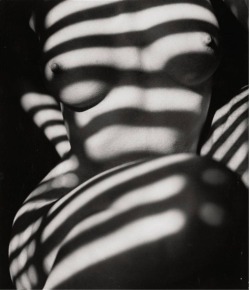 gacougnol:  Peter BaschUntitled nd 