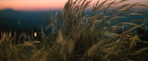 HEAT (1995) Dir. Michael Mann Cinematography By Dante Spinotti