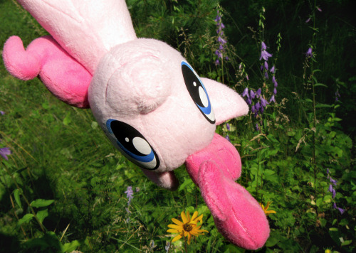 Had a lil’ too much fun photographing Pinkie for an Etsy listing. lol If only had the SLR came