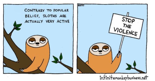 catwithbenefits:  infinitemonkeybusiness:  sloths  @nadathesloth   me