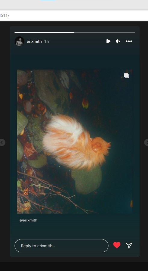 Tumblr media