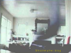 sixpenceee:This shadow like figure was found after someone left their computer camera on for a few hours. They believe it’s of a shadow person. You can read my post about shadow people here. (Source)