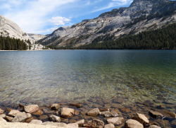 belovedgaia:  rosesinaglass:Yosemite National Park Sept 2012 by rimlli on Flickr.  - plants - nature -