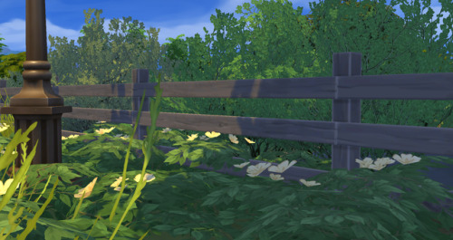 Some resahde before and afters ft foggy, beautiful brindletonno editing at all, just reshade :)
