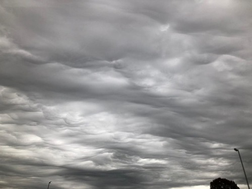 <p>Oh Nashville, why your clouds so weird? Cloud nerds - please explain these to me. #clouds #nashville #nofilter #thesecloudsshouldhaveafilternamedafterthem (at Nashville, Tennessee)<br/>
<a href="https://www.instagram.com/p/BqoLRNmlipZ/?utm_source=ig_tumblr_share&igshid=1jwc02nh62lg4">https://www.instagram.com/p/BqoLRNmlipZ/?utm_source=ig_tumblr_share&igshid=1jwc02nh62lg4</a></p>