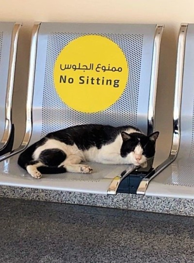 catasters:
