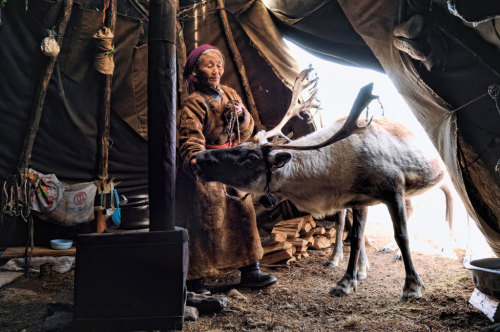 fotojournalismus:The Tsaatan (Dukha) Reindeer Nomads from the Mongolian North, or the Dark Heav