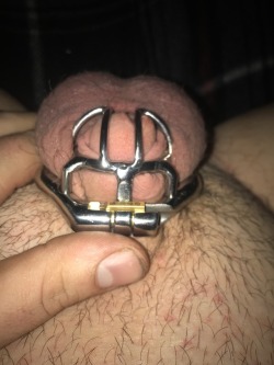 bdsmkinky93:  Been locked for two weeks 🔐  Your being such a good boy baby!!! Giggles