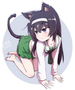 fileth-fileth:ぼぶさんのツイート: 猫+麻子＝