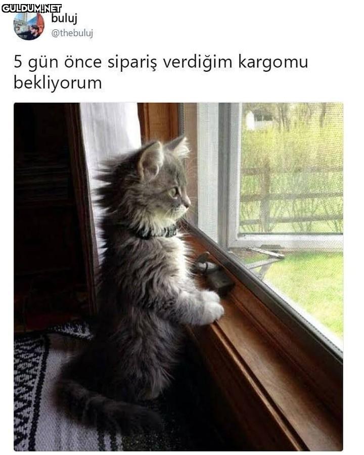 buluj @thebuluj 5 gün önce...