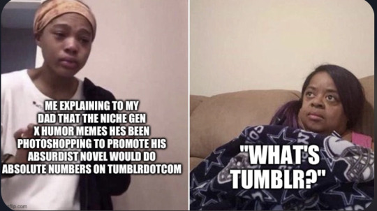 Tumblr media