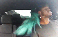 beavesaintmarie: Blue: Boom shakalaka, boom shakalaka. Everything in shaka, everything